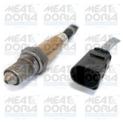 Oxygen Sensor